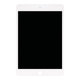 Apple iPad Mini 4 - Ecran LCD + Sticlă Tactilă (White) Refurbished