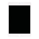 Apple iPad Mini 5 - Ecran LCD + Sticlă Tactilă (White) Refurbished