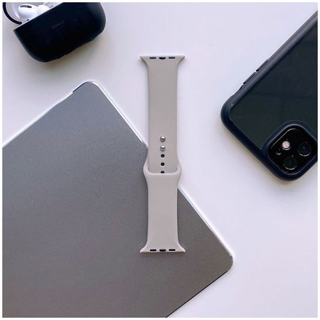 Tech-Protect - Curea Iconband pentru Apple Watch 4, 5, 6, 7, SE (42, 44, 45mm), gray
