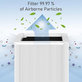 Blueair Blue Pure 211+ - Filtru HEPA (Carbon activ)