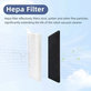 Filtru HEPA, 2 buc. pentru Rowenta X-plorer S65, S65+, S70, S70+, S75s, S75s+
