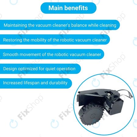 Roidmi EVE Plus - Roată cu Motor (Dreapta) (Negru)