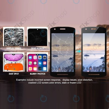 Zebra TC21, TC26 - Ecran LCD + Sticlă Tactilă TFT (cu decupaj)