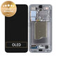Samsung Galaxy S25 - Ecran LCD + Sticlă Tactilă + Ramă (Silver Shadow) - GH82-36329A Genuine Service Pack