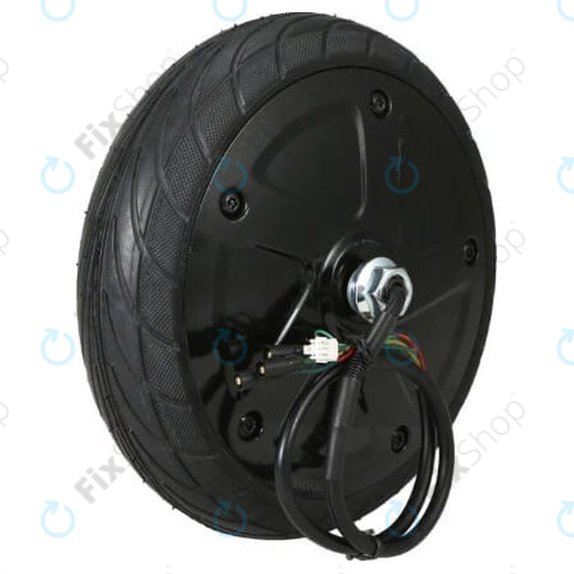 Ninebot Segway ES1, ES2 - Motor Complet cu Anvelopă 36V 350W