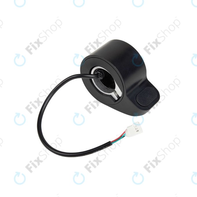 Argento Active 2022 - Accelerator